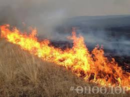 Forest fire risk ‘very high’